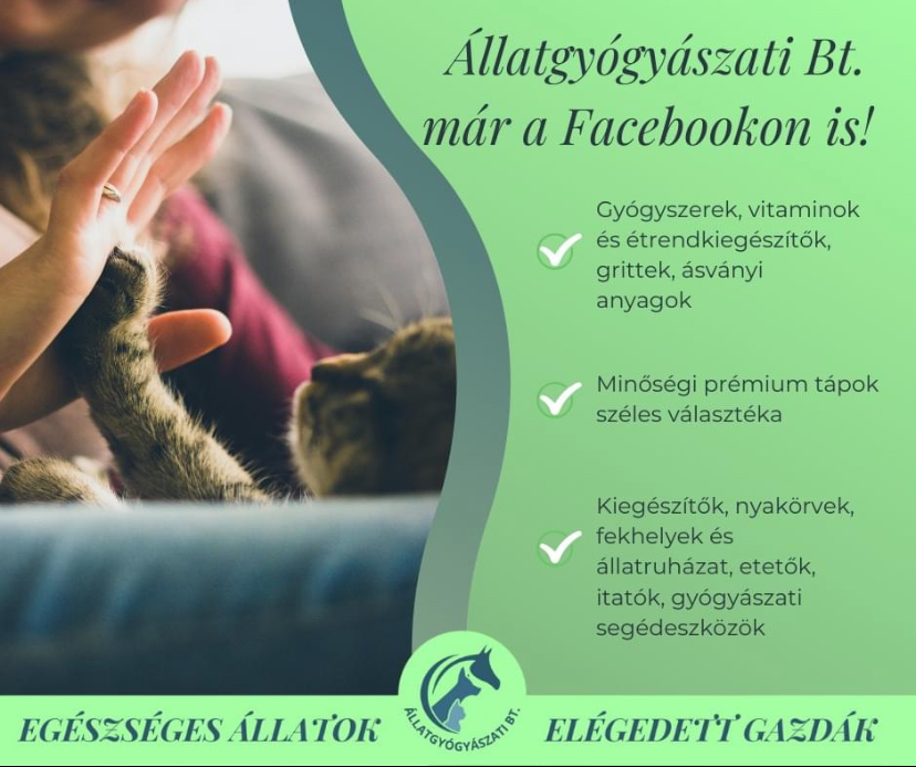 Facebook Page